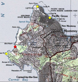 A red polygon indicates an extant occurrence; yellow indicates the occurrence has been extirpated. 